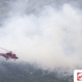 APP Sinar Mas Bantu Atasi Kebakaran Hutan di Sumsel Jelang Asian Games 2018