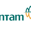 ANTAM Mencatatkan Pertumbuhan Kinerja Operasional Yang Positif Pada Periode Lima Bulan Pertama Tahun 2018