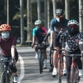 Dyandra Promosindo Menggelar Event Sepeda Semi Virtual Dengan Tajuk Kebun Raya Challenge 75K