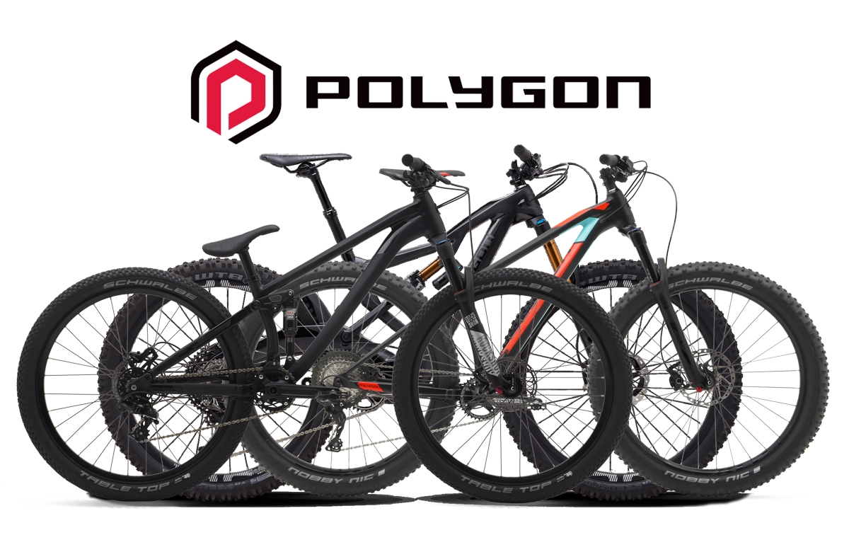 Inilah Berbagai Inovasi Sepeda Gunung Polygon yang Dibandrol Harga Hingga Ratusan Juta