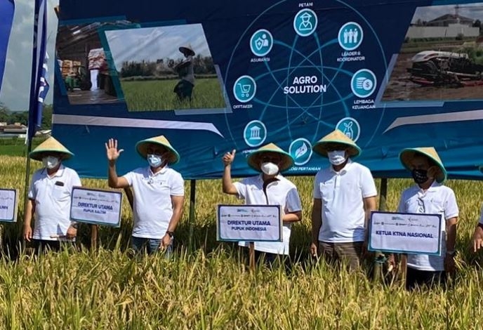 Pupuk Indonesia Tingkatkan Produktivitas Pertanian Lewat Program Agro Solution
