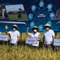 Pupuk Indonesia Tingkatkan Produktivitas Pertanian Lewat Program Agro Solution