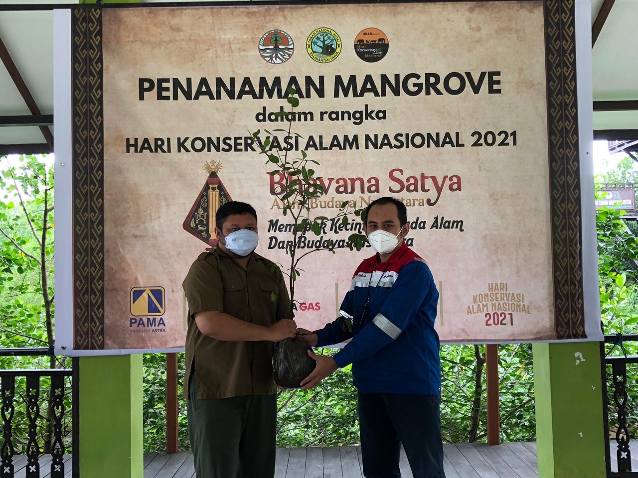 Sambut Hari Konservasi Alam, Pertamina Gas Kalimantan Hadirkan Pelestarian Ekosistem Mangrove