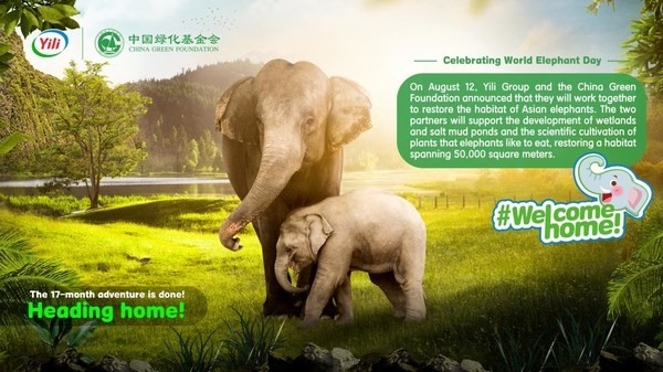 Peringati Hari Gajah Sedunia: Yili Bertekad Lestarikan Gajah-Gajah Liar