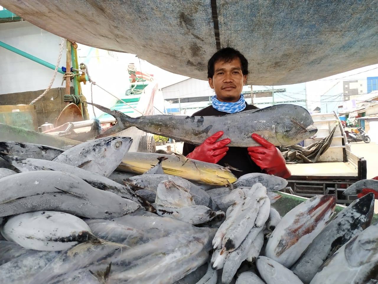 KKP Hadirkan Kampung Ikan Dewa di Sumedang
