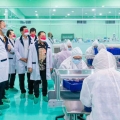 Industri Alat Kesehatan Ekspor Antigen Rapid Test ke 2 Negara Ini