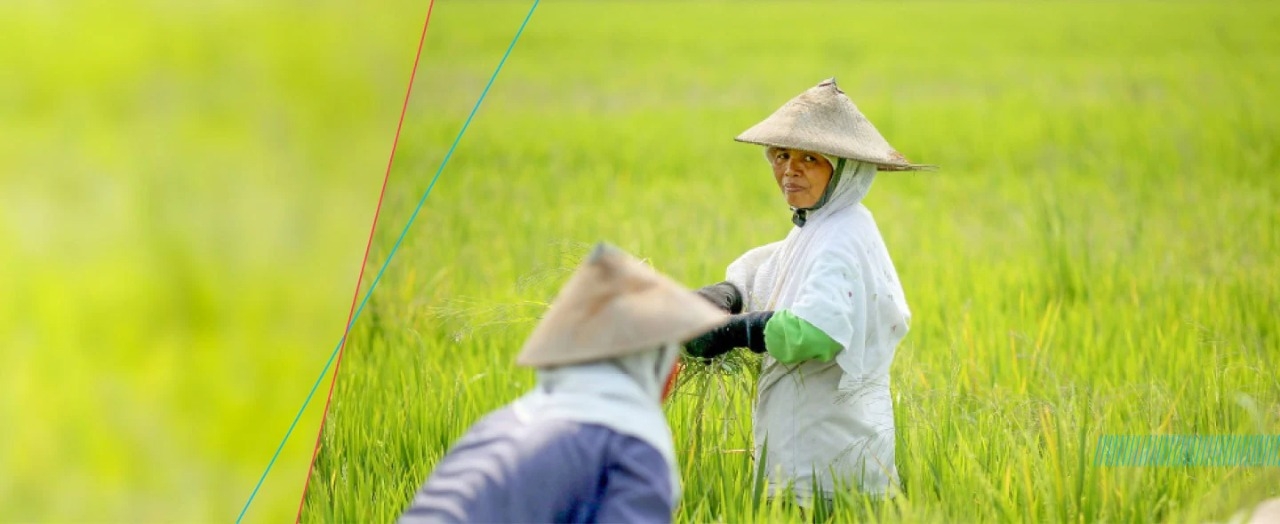 Bayer Indonesia Ajukan Program Better Life Farming Sebagai Solusi Pertanian Indonesia
