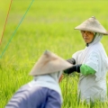 Bayer Indonesia Ajukan Program Better Life Farming Sebagai Solusi Pertanian Indonesia