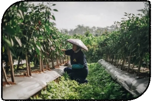 Terima Penghargaan, Crowde Ingin Jadi Pelopor Revolusi Pertanian di Indonesia