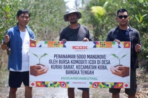 ICDX Tanam 5000 Pohon Mangrove di Bangka Belitung Sebagai Komitmen Netral Karbon