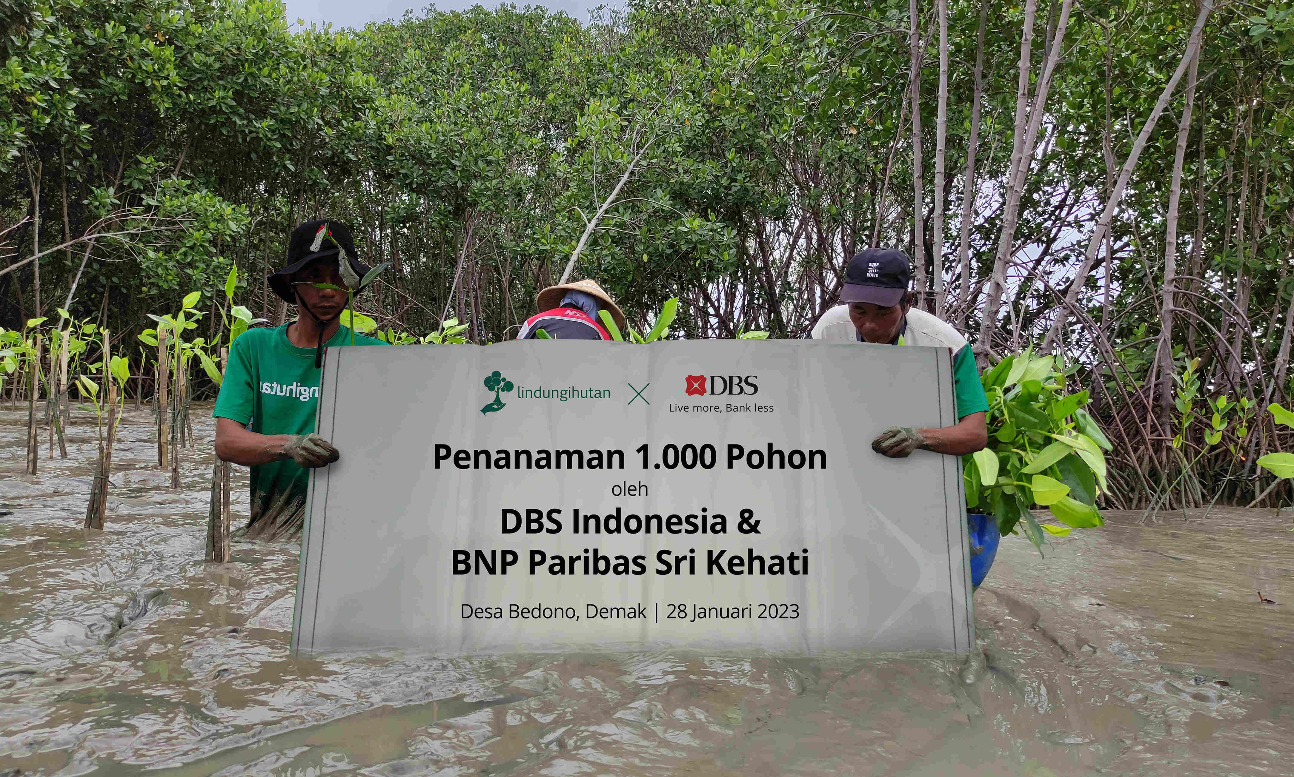 Bank DBS Indonesia Mengajak Nasabah Berinvestasi Sembari Menyumbang Pohon Bakau