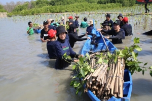 Telkomsel Jaga Bumi Tanam 15.060 Pohon di Kawasan Hutan Mangrove Indonesia