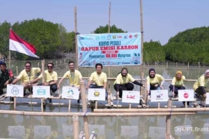 Brantas Abipraya Berkolaborasi Tanam Bibit Mangrove di Demak