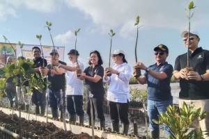 Maybank Indonesia Tanam 2.000 Bibit Mangrove di Benoa