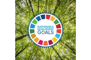 Sustainable Business: Peran Perusahaan dalam Mewujudkan SDGs