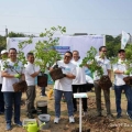 Holding BUMN Danareksa Hijaukan Jakarta melalui Penanaman 600 Pohon