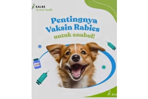Kalbe Dukung Indonesia Bebas Rabies