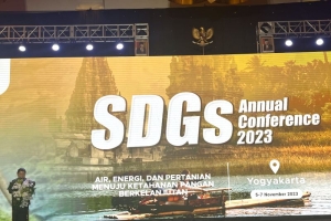 Capaian SDGs Indonesia Tahun Lalu Cukup Progresif
