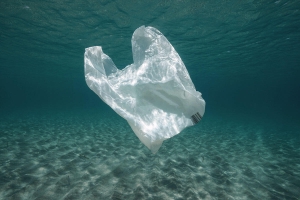 Cegah Pencemaran Lingkungan CooperVision-Plastic Bank Lanjutkan Kerja Sama