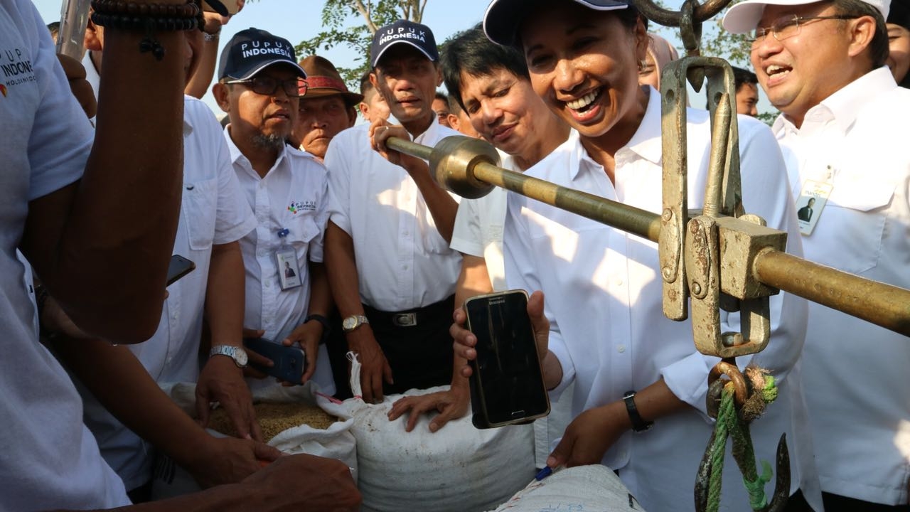 Menteri  BUMN Selesaikan Panen Raya 4000 Ton Gabah di Tempuran, Karawang