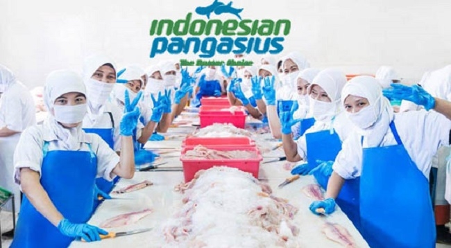 Ikan Pangasius Probiotik Indonesia - Terbang ke Dubai
