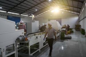 Raih Pendanaan Rp942 Miliar, TaniHub Group akan Perkuat Rantai Pasok ke Seluruh Indonesia