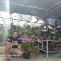 Kisah Rumah Anggrek Vita Orchids, Sukses Manfaatkan YouTube untuk Dekat dengan Pelanggan