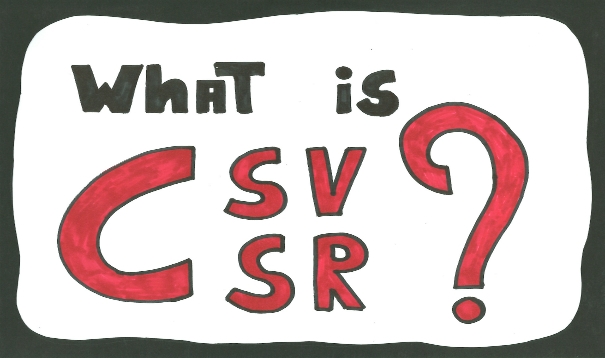 Catat, Ini Perbedaan CSR dan CSV