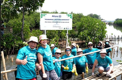 Allianz Indonesia Ajak Masyarakat Lestarikan Bumi dengan Aksi World Cleanup Day & Tanam 2.000 Pohon Mangrove