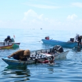 Jadi Pemain Besar Dunia, Pupuk Kaltim Tingkatkan Produktivitas Nelayan Lokal