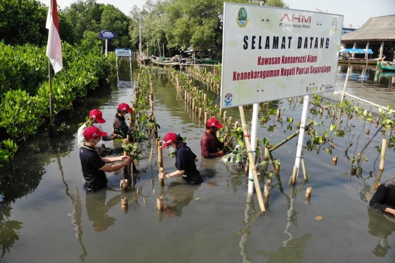 Jaga Keanekaragaman Hayati, AHM Tanam 1.200 Pohon di Jawa Barat