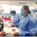 Perangkat Lunak Laboratorium CGM Modernisasi Layanan Kesehatan di Timor-Leste
