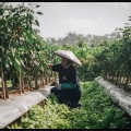 Terima Penghargaan, Crowde Ingin Jadi Pelopor Revolusi Pertanian di Indonesia