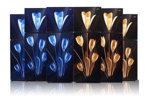 Desain Unik, Dingin Lebih Cepat Dan Merata Dengan Kulkas Lily Series Aqua Japan
