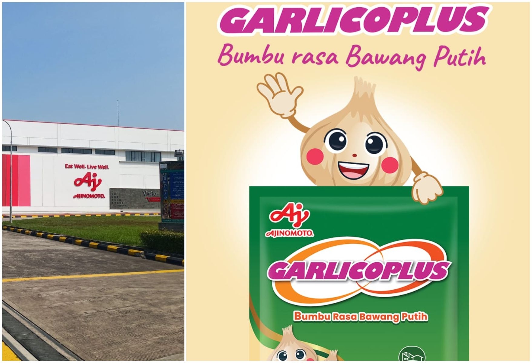 Ajinomoto Luncurkan GarlicoPlus Bumbu Bawang Putih Ekonomis Untuk Industri