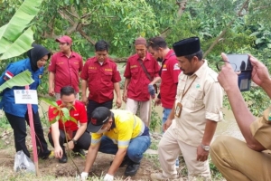 Coca-Cola Europacific Partner Indonesia Tanam Ratusan Pohon di Bantaran Sungai Deli