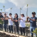 Maybank Indonesia Tanam 2.000 Bibit Mangrove di Benoa