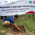 Gandeng Petani Kopi di Colol NTT, Astra Indonesia Tanam 2.000 Pohon Kopi
