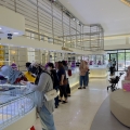 Semar Nusantara Grand Opening Cabang Pertama di Jakarta