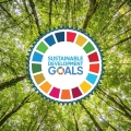 Sustainable Business: Peran Perusahaan dalam Mewujudkan SDGs