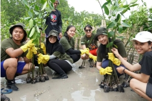 Edukasi & Tanam 3.300 Mangrove, Sharp Indonesia 