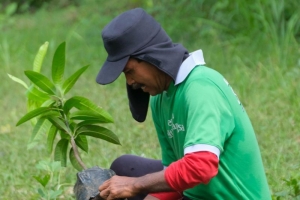 Hijaukan Lingkungan, Kalbe Tanam Ribuan Pohon di Kabupaten Wonogiri