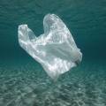 Cegah Pencemaran Lingkungan CooperVision-Plastic Bank Lanjutkan Kerja Sama